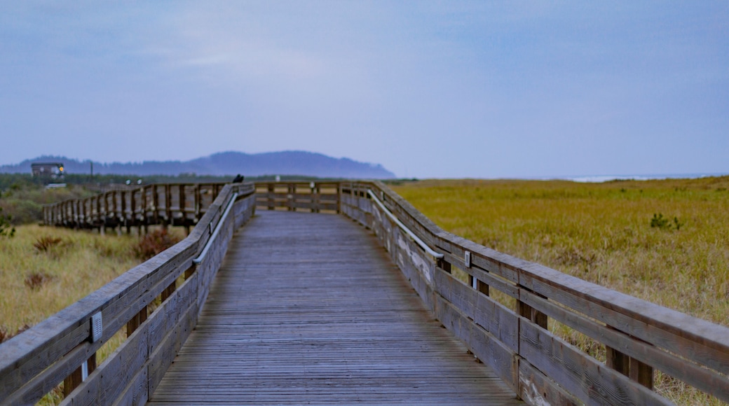 Long Beach Boardwalk