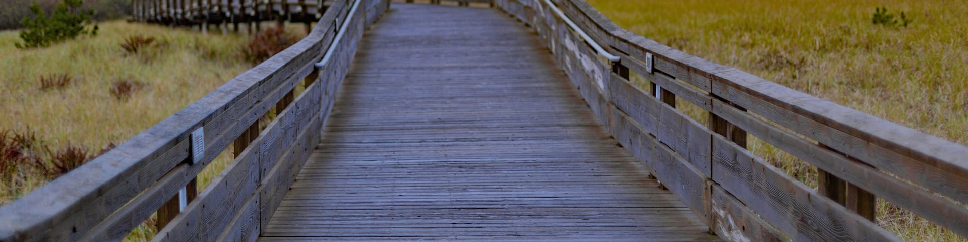 View of wooden boardwalk trail across the beach grass wetland, leading to the beach; Longbeach, Washington, United States of America