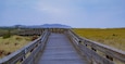 View of wooden boardwalk trail across the beach grass wetland, leading to the beach; Longbeach, Washington, United States of America