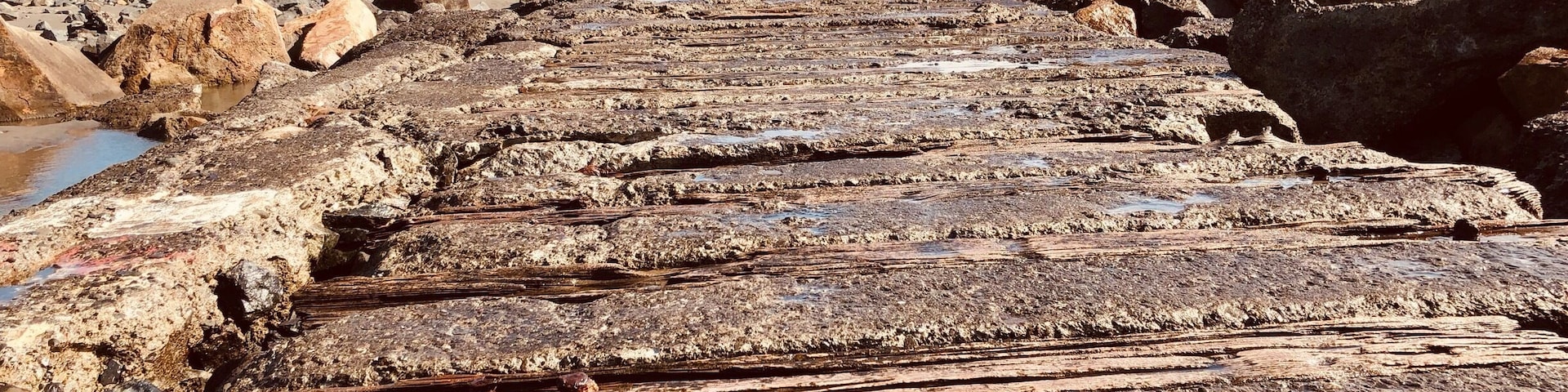 Old sea wall along the north jetty, Samoa Recreation area.