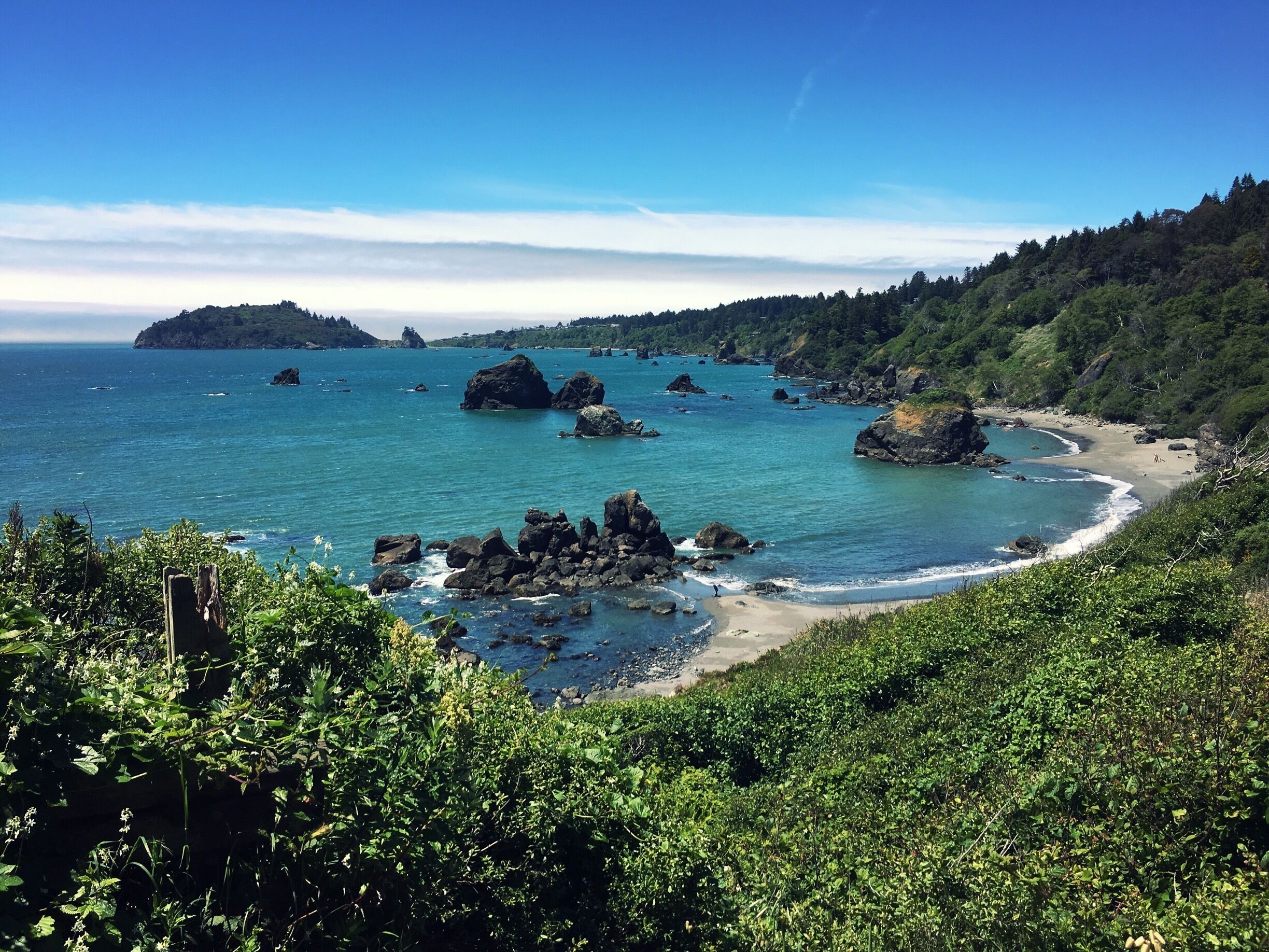 View of Luffenholtz Beach