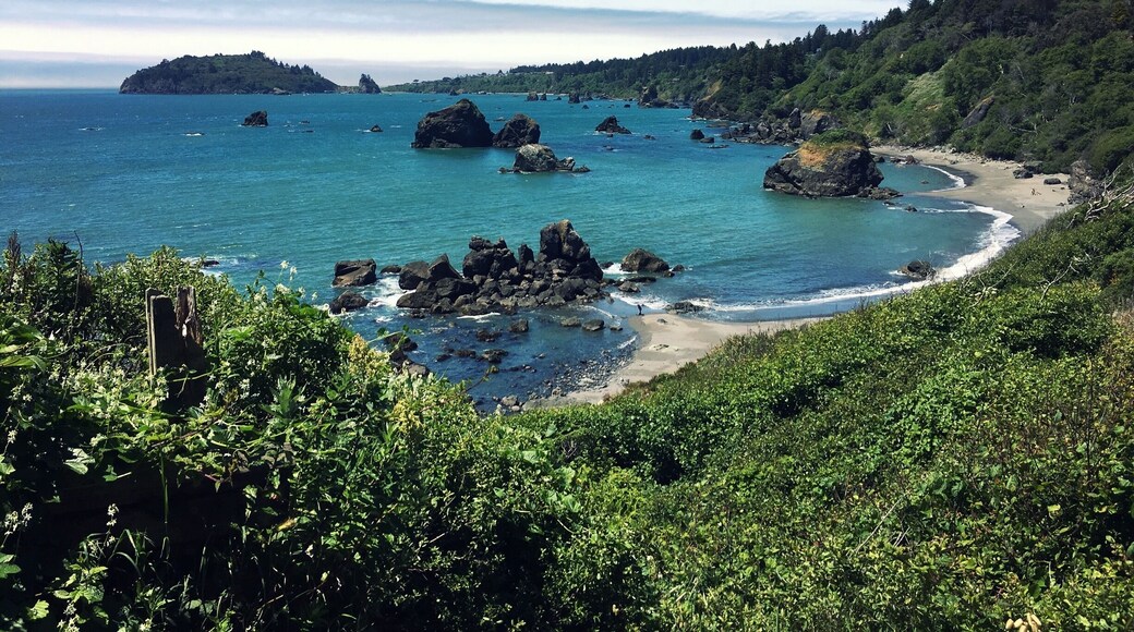 View of Luffenholtz Beach