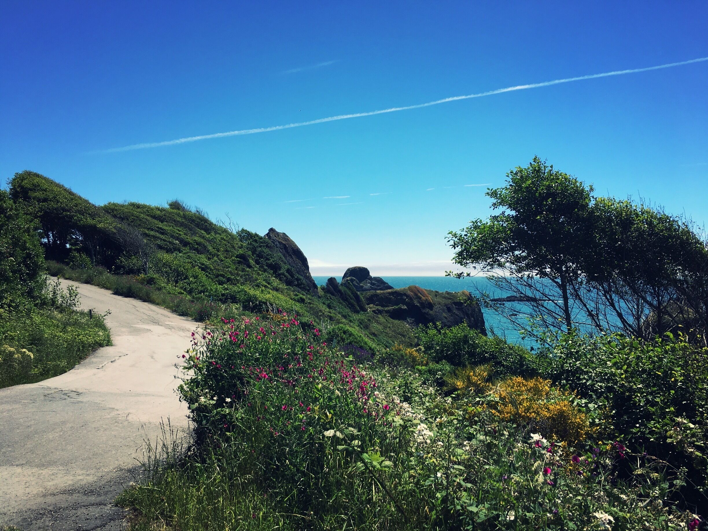 The road to Luffenholtz Beach