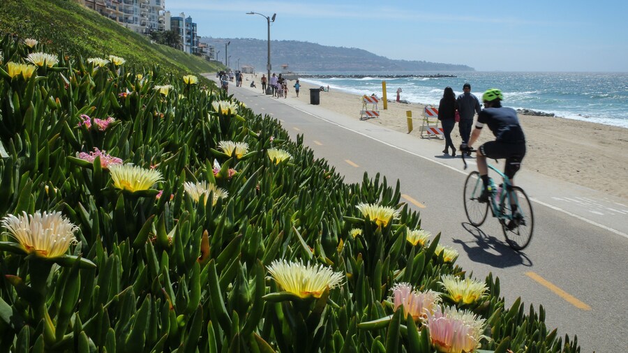 People walk and cycle along the Marvin Braude bike trail in Redondo Beach on a beautiful spring afternoon.