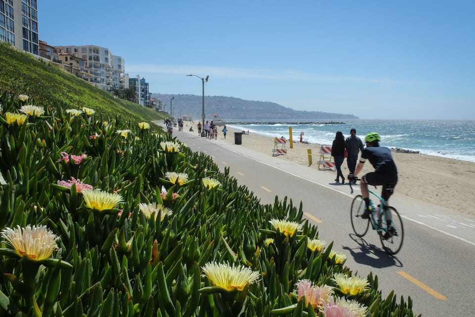 A coastal road with cyclists, a beach, and a row of buildings.