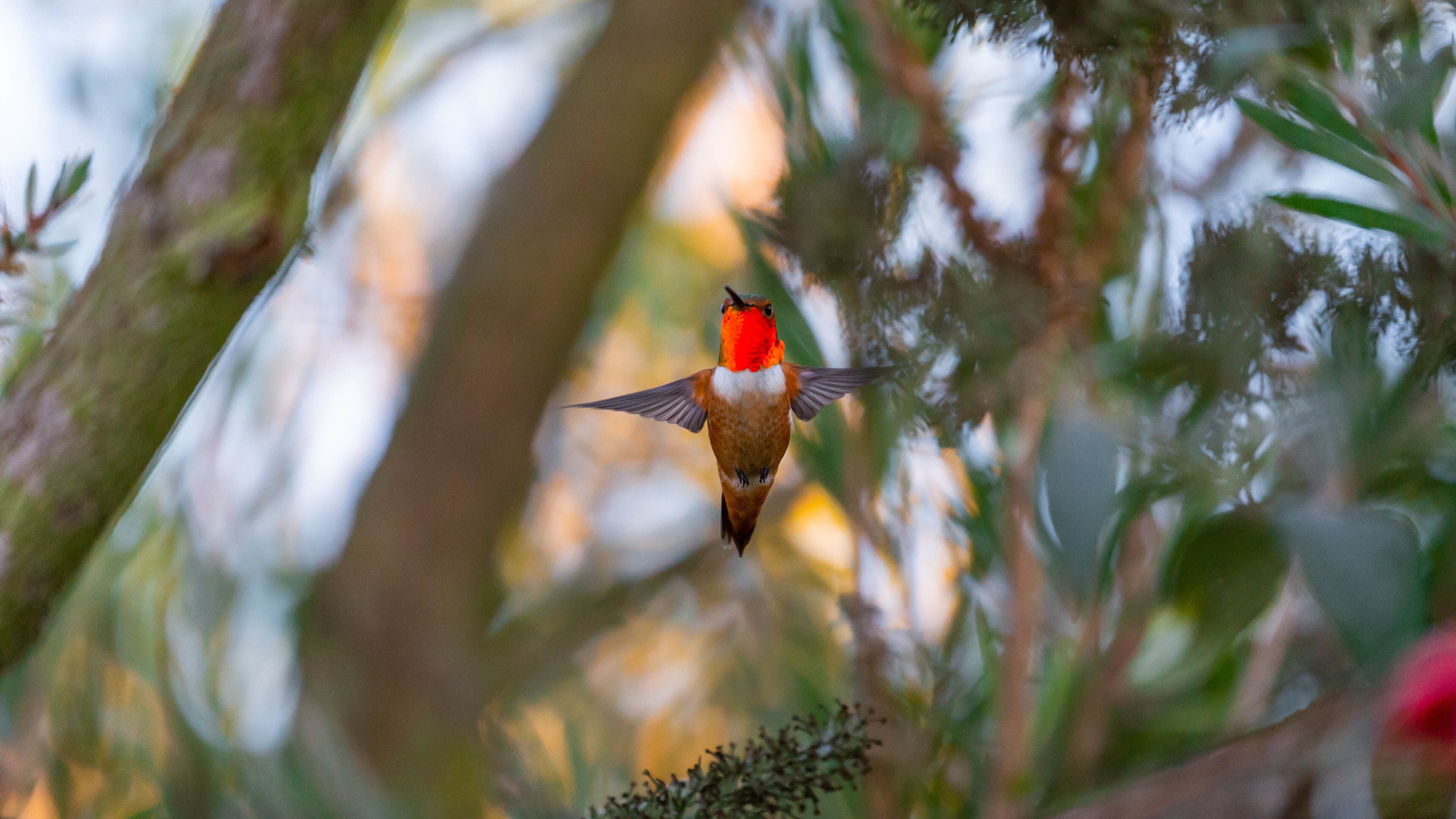 Kenneth Hahn State Recreation Area