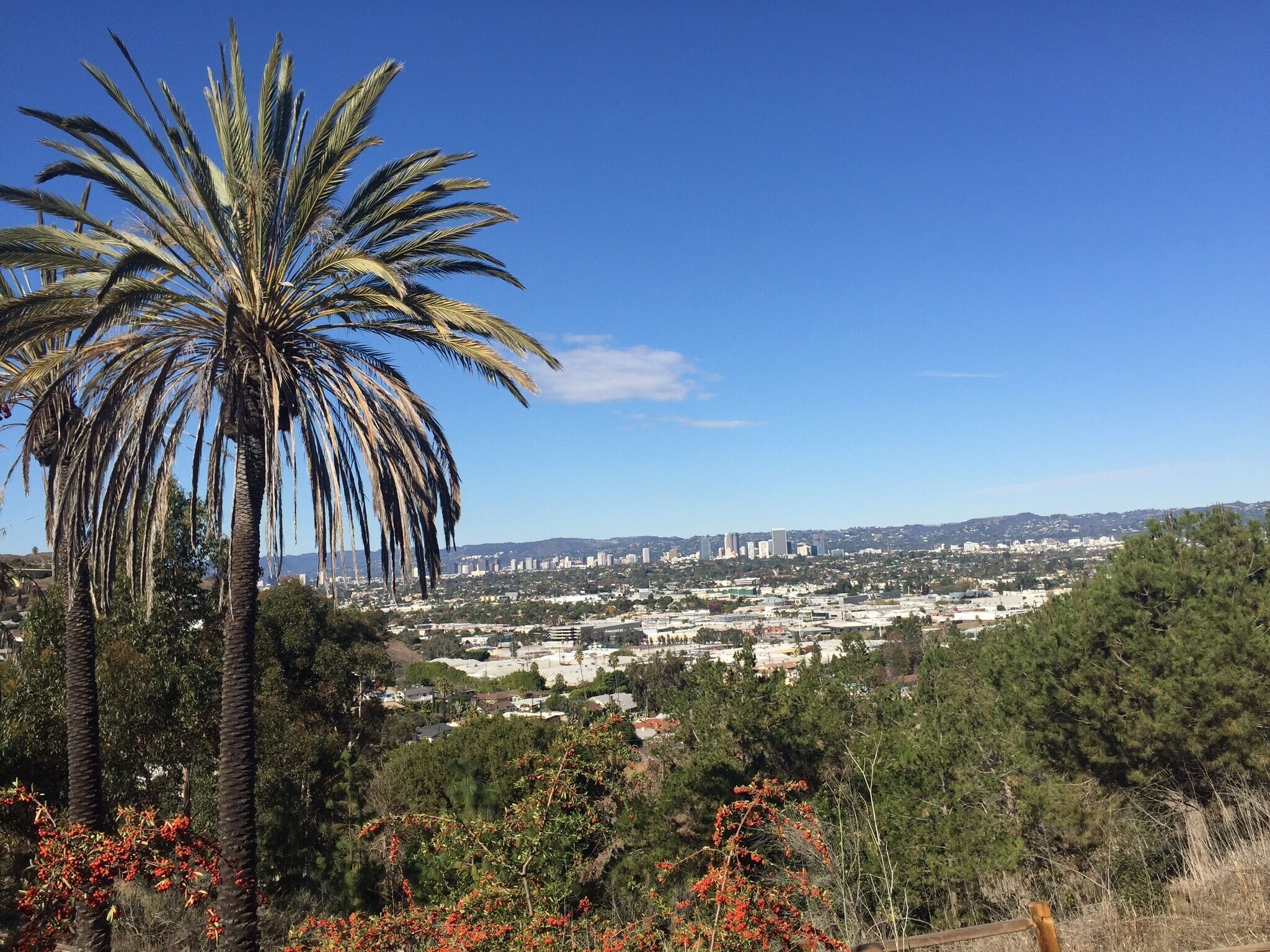 LA's hidden gem. Overlooks all of LA