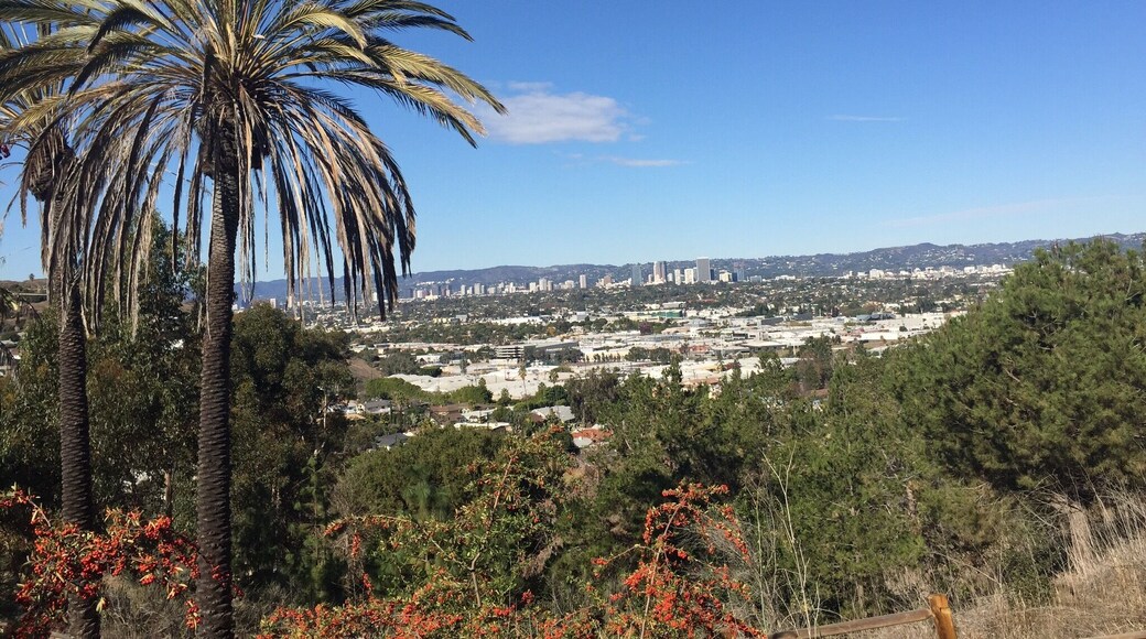 LA's hidden gem. Overlooks all of LA