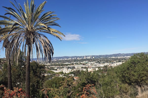 Un palmier, un paysage urbain et un ciel bleu azur.