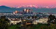 Los Angeles Skyline from Kenneth Hahn park.
#parks
#BvsCities
#urbanjungle
#TroveOn
#StunningStructures
#FindingtheUniverse
#city #travel #town #traveling #citybestpics #cityscapes #travelblogger #sunsetlover #travels #travelblog #traveldiary #travelawesome #travelandlife #architecture #streets #cathedral #streetphoto #tlpicks #worldtravelpics #instapassport #igtravel #urban #architecturelovers #cityscape #autumn #beautifuldestinations #cities