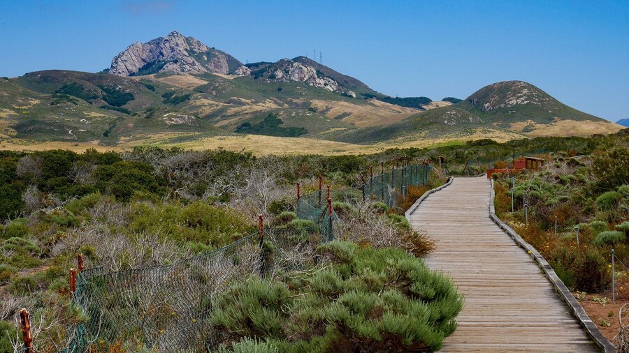 Elfin Forest Preserve