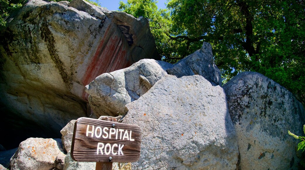 Sequoia National Park featuring signage