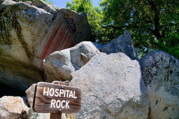 Sequoia-Nationalpark welches beinhaltet Beschilderung
