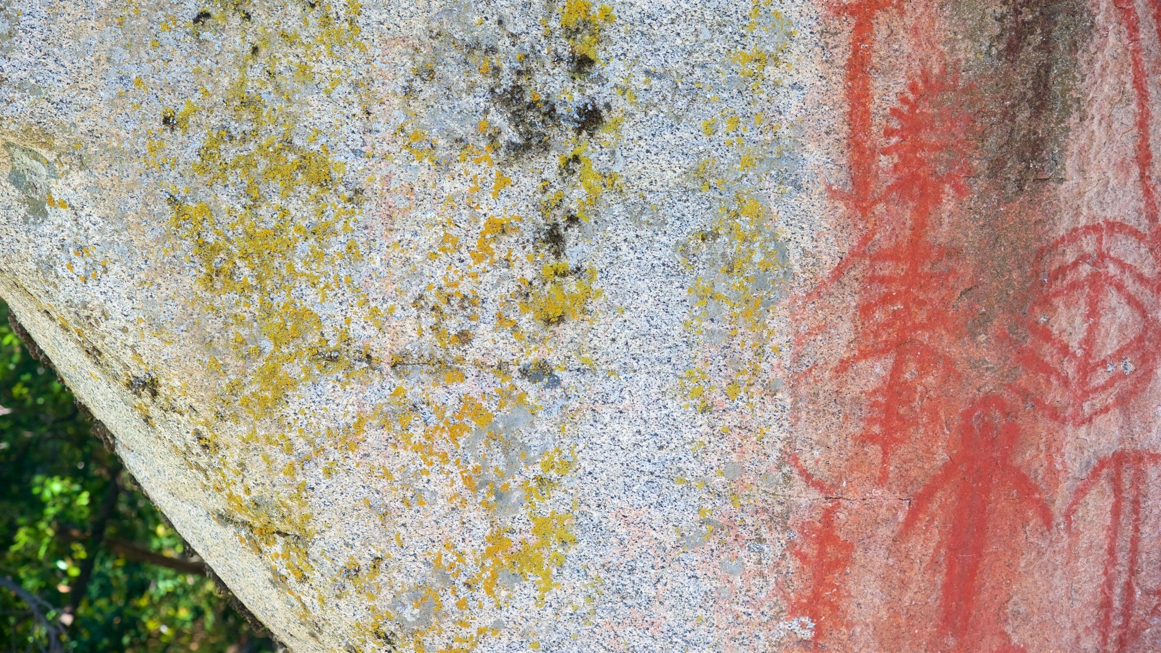 Hospital Rock featuring outdoor art