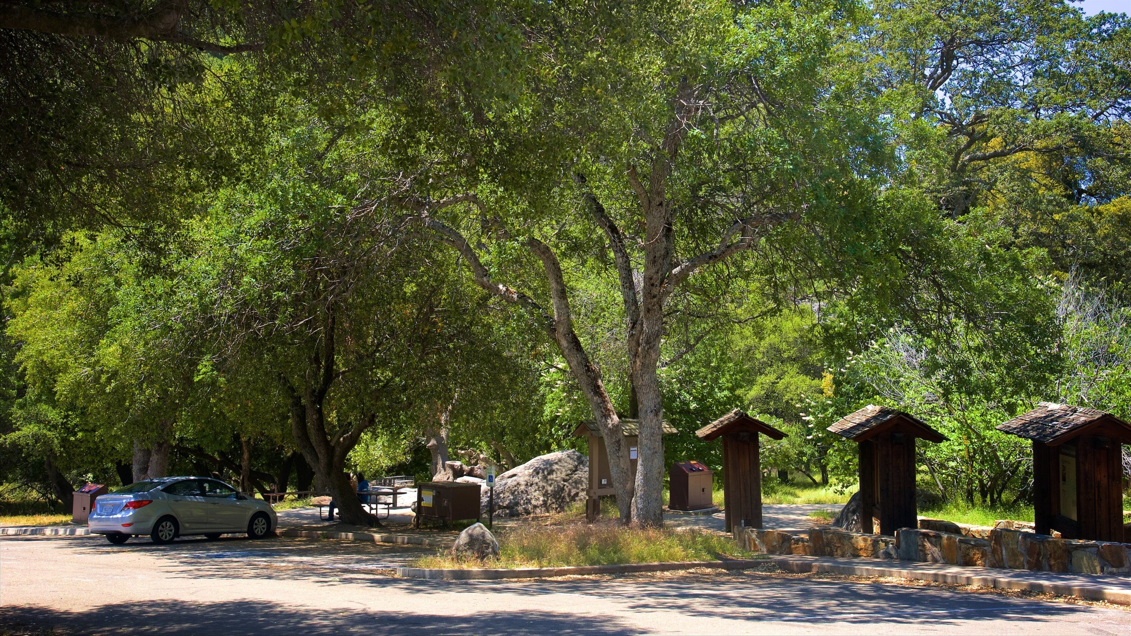 Hospital Rock che include foresta e parco