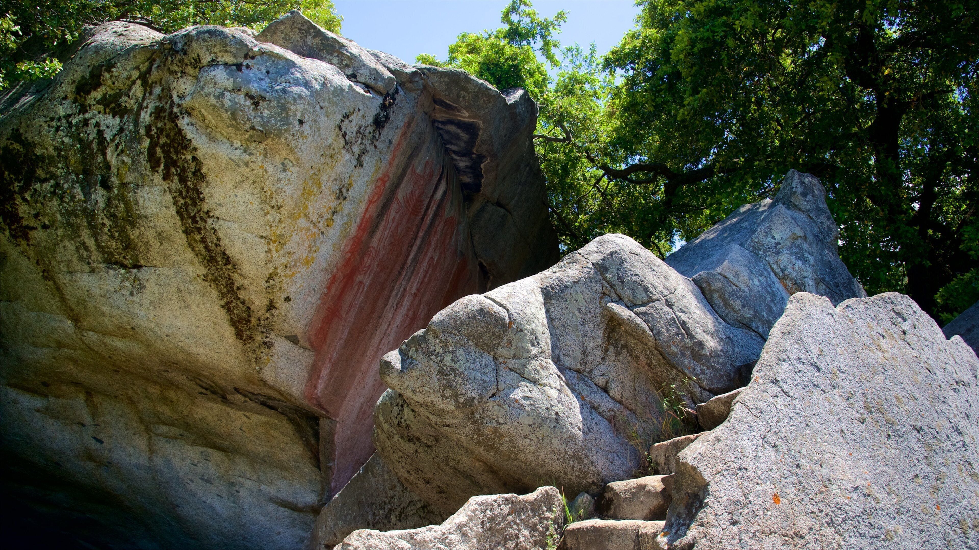 Hospital Rock mit einem Waldmotive