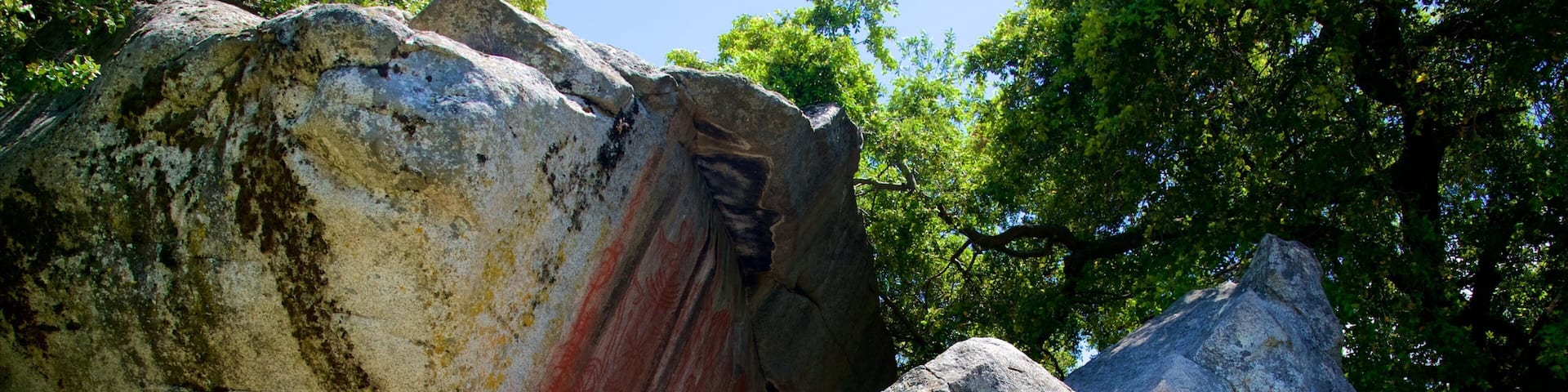 Hospital Rock showing forests
