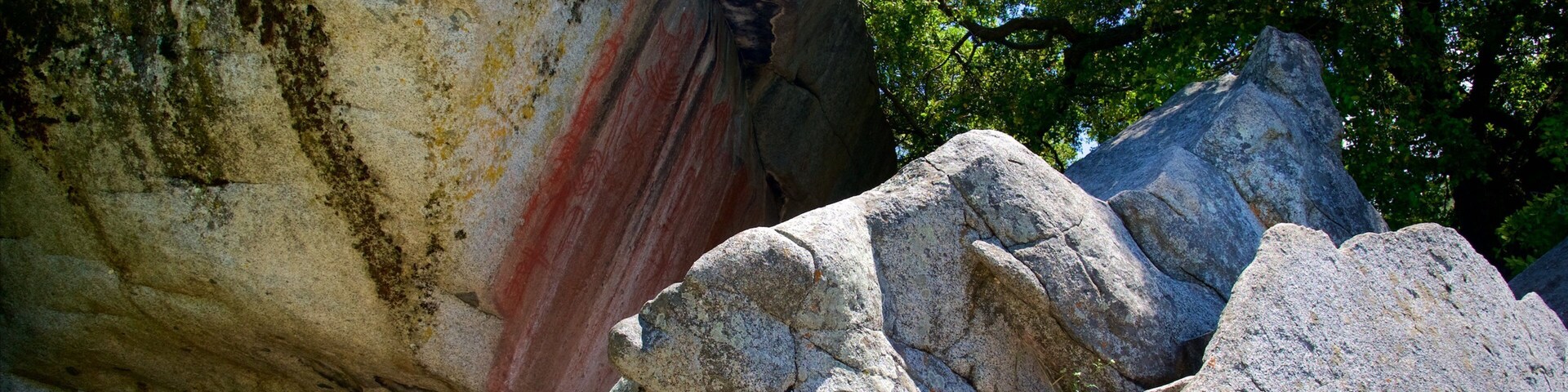 Hospital Rock mostrando florestas
