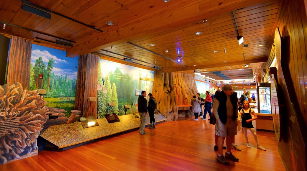 Giant Forest Museum which includes interior views as well as a small group of people