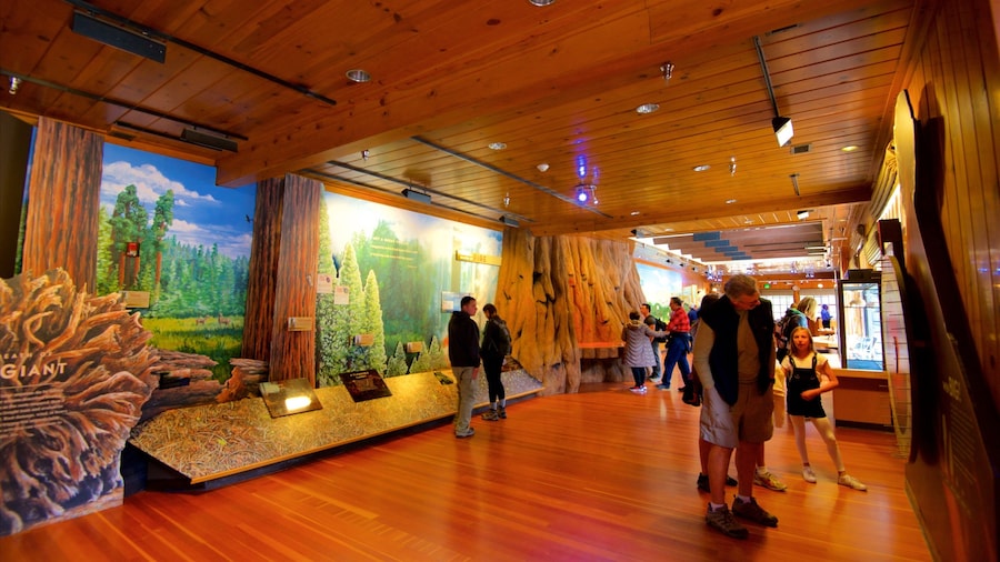 Giant Forest Museum que inclui vistas internas assim como um pequeno grupo de pessoas
