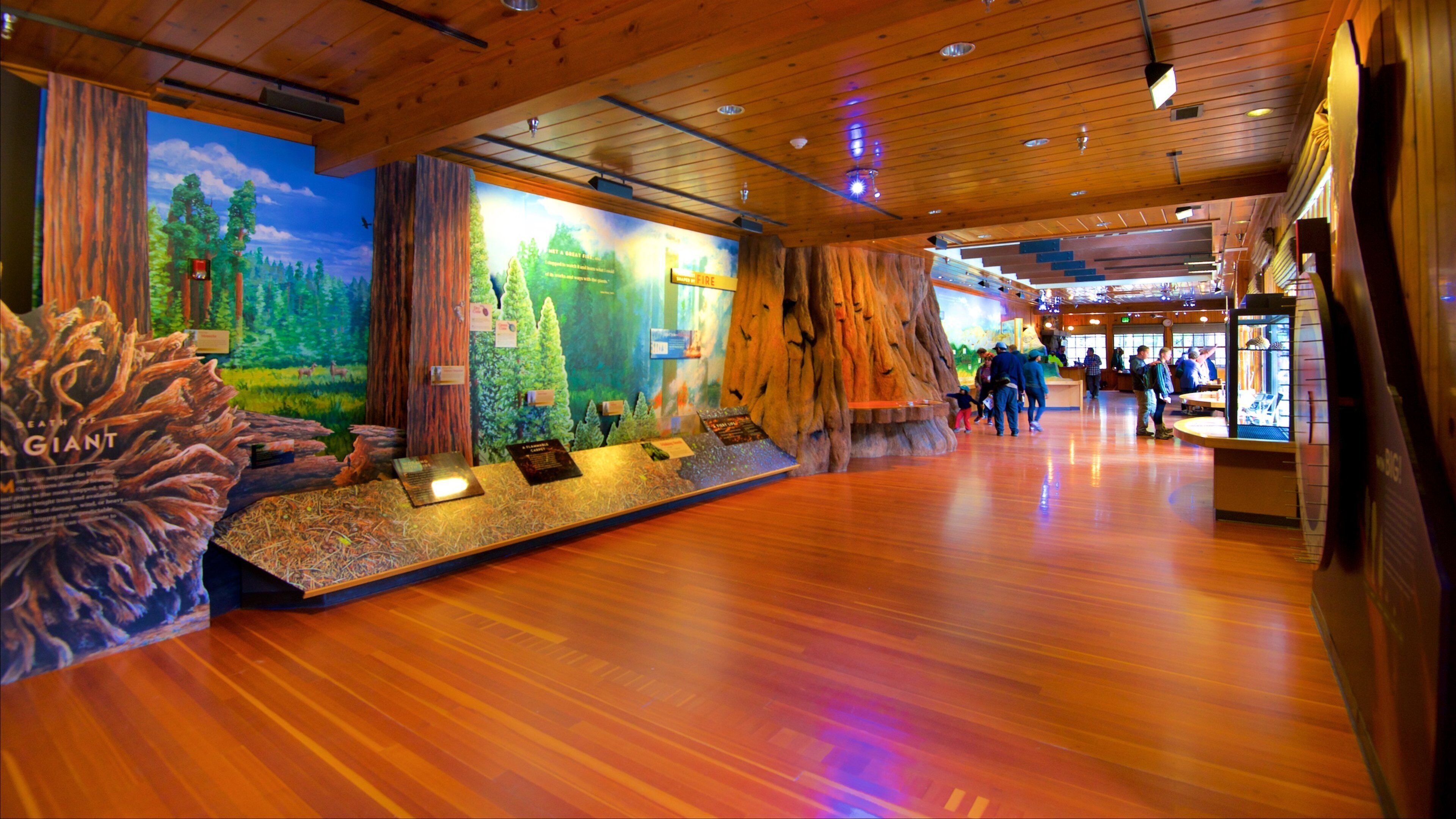 Sequoia National Park showing interior views