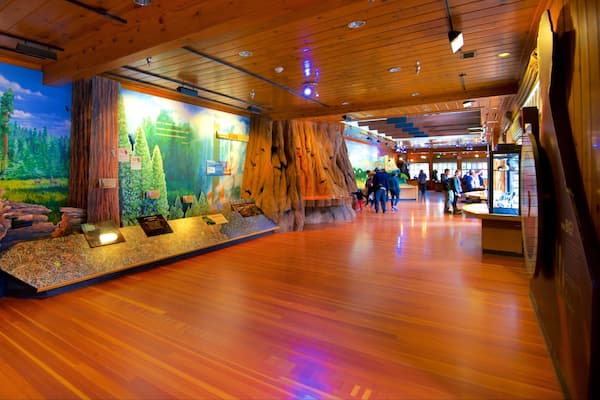 Sequoia National Park mettant en vedette vues intérieures