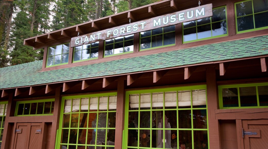 セコイア ナショナル パーク フィーチャー 標識