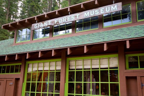 Ein Gebäude mit einem Schild, auf dem „GIANT FOREST MUSEUM“ steht, und großen Fenstern mit grünen Rahmen.