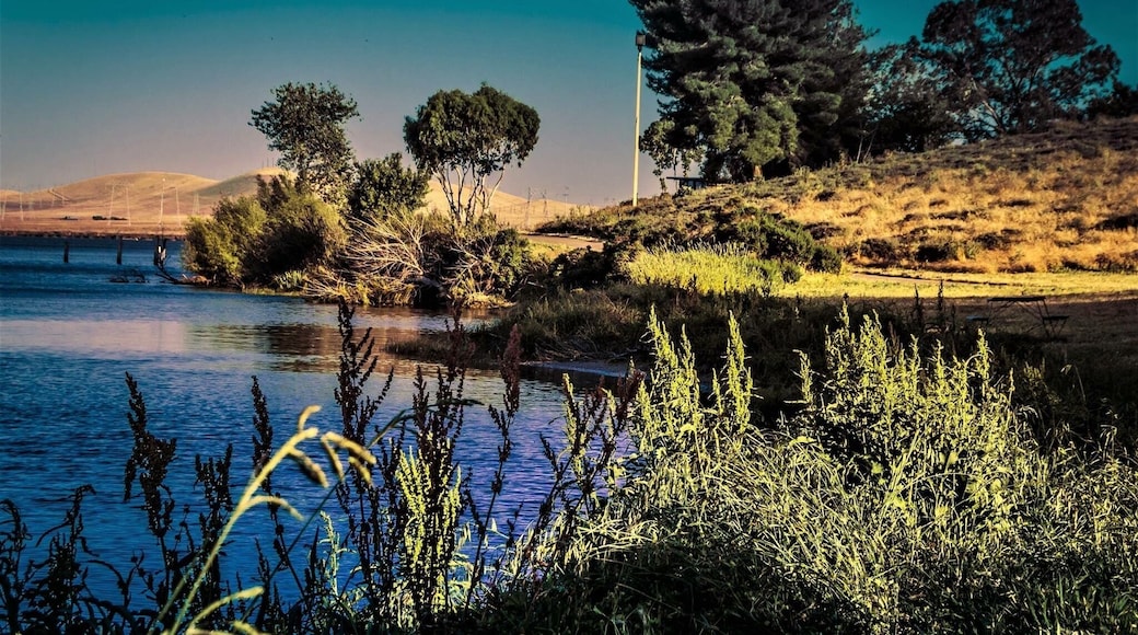 A nice park to hike and be alone with nature