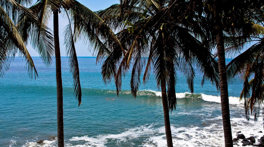 Las Flores - El Salvador