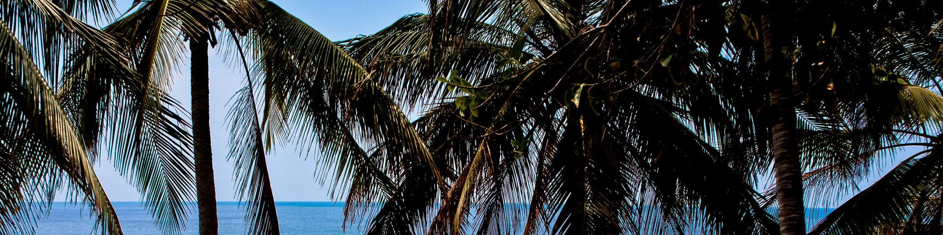 Las Flores - El Salvador