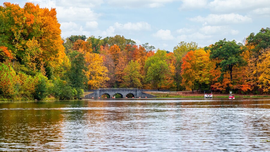 Beautiful Fall Foliage in Sharon Woods Park in Cincinnati, Ohio