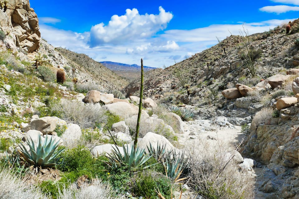 A rocky desert landscape with large boulders, sparse vegetation, and a clear blue sky.