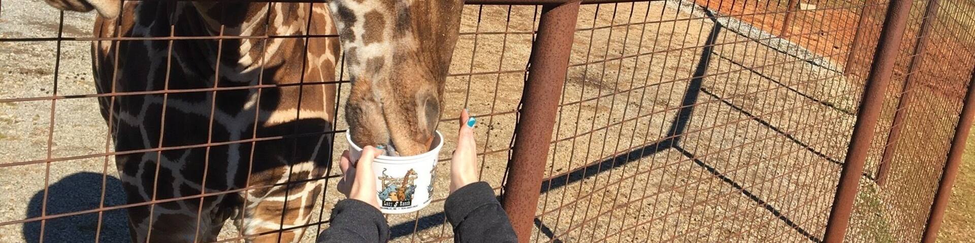 A very unique zoo experience.