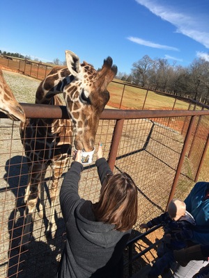 A very unique zoo experience.