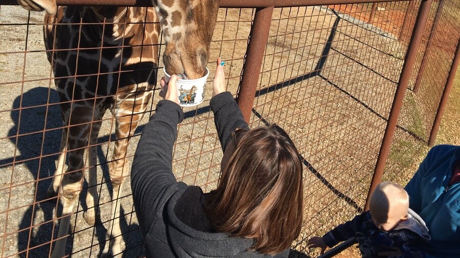 A very unique zoo experience.