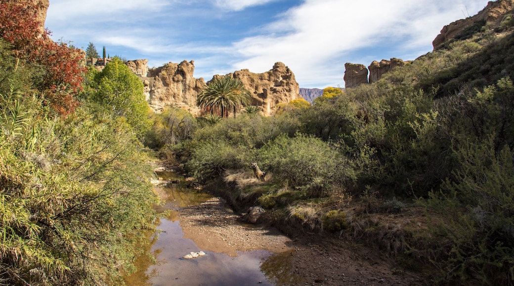Boyce Thompson Arboretum State Park