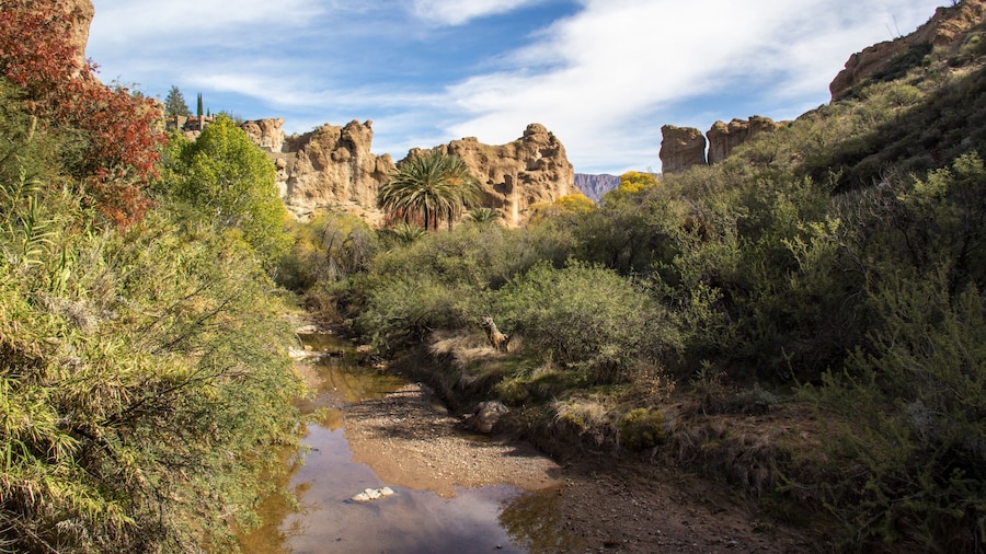 Boyce Thompson Arboretum Statspark