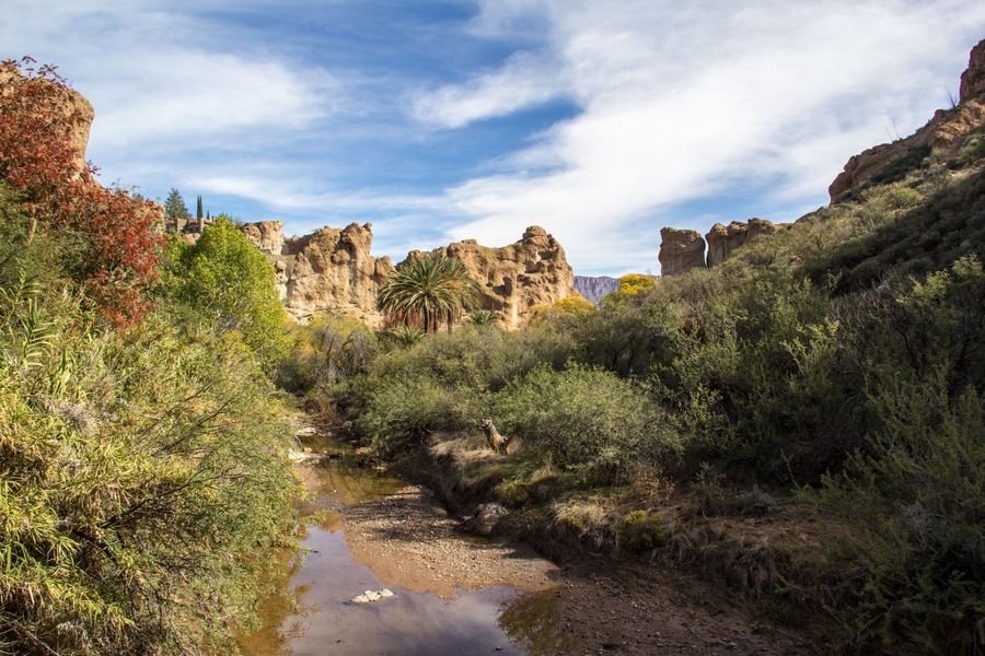 queen creek at Boyce Thompson Arboretum Arizona State Park; Shutterstock ID 165564224; Purchase Order: -