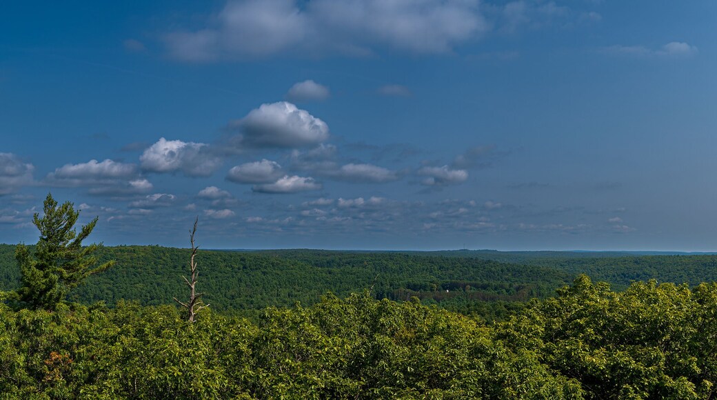 Spectacular view from the fire tower at Cook Forest State Park in Pennsylvania.