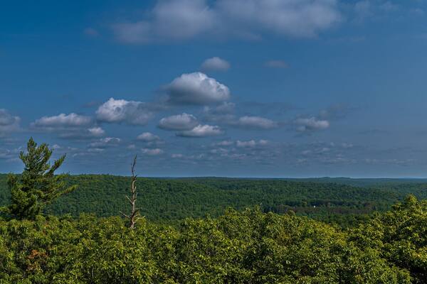 A forested landscape with a clear blue sky and scattered clouds.