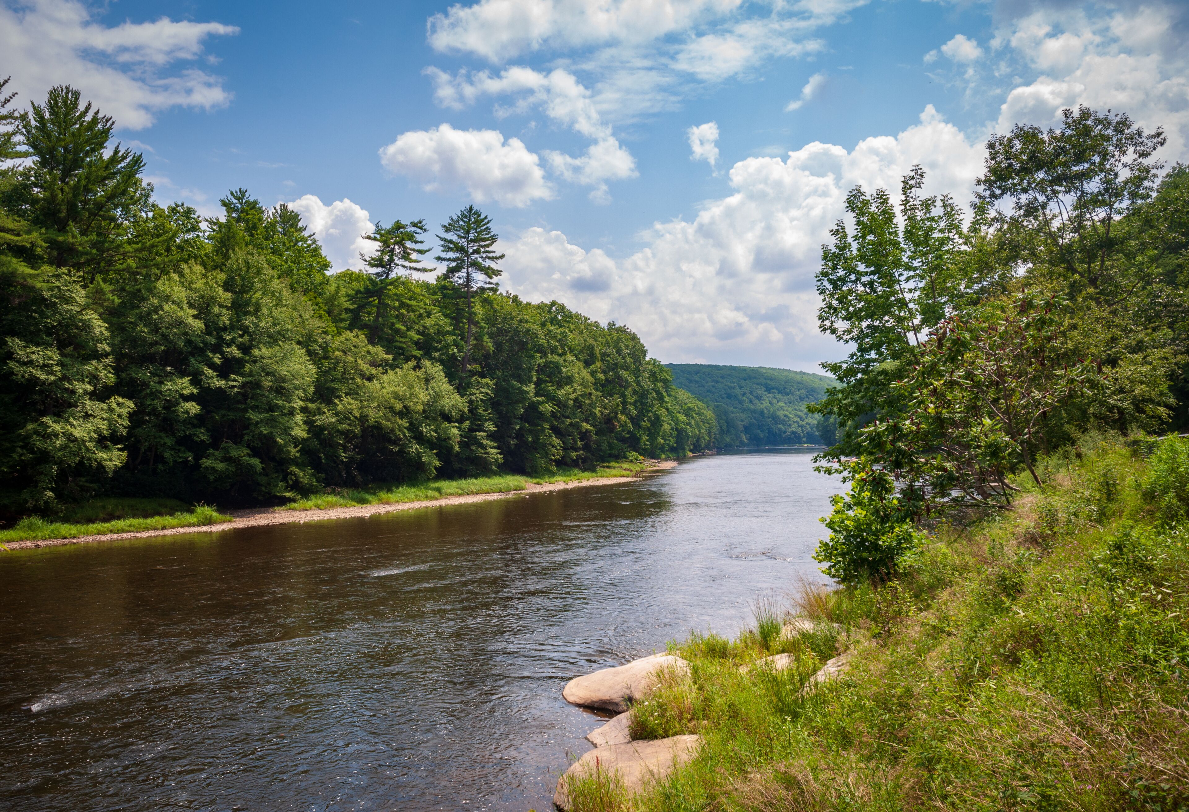 Cook Forest State Park