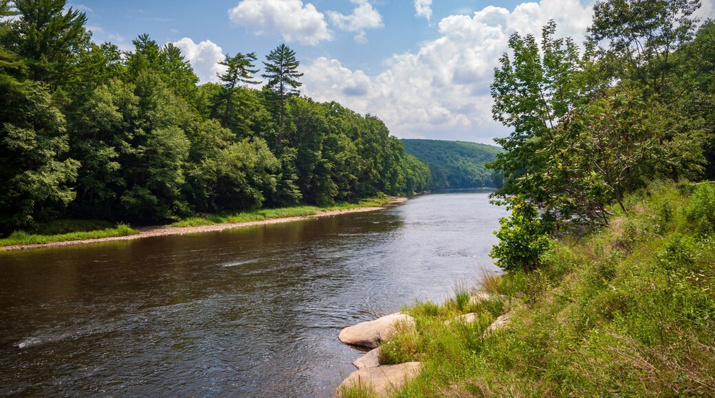 Cook Forest State Park