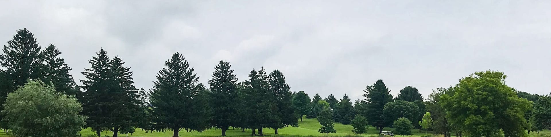 Wisconsin Golf Course on cloudy Morning