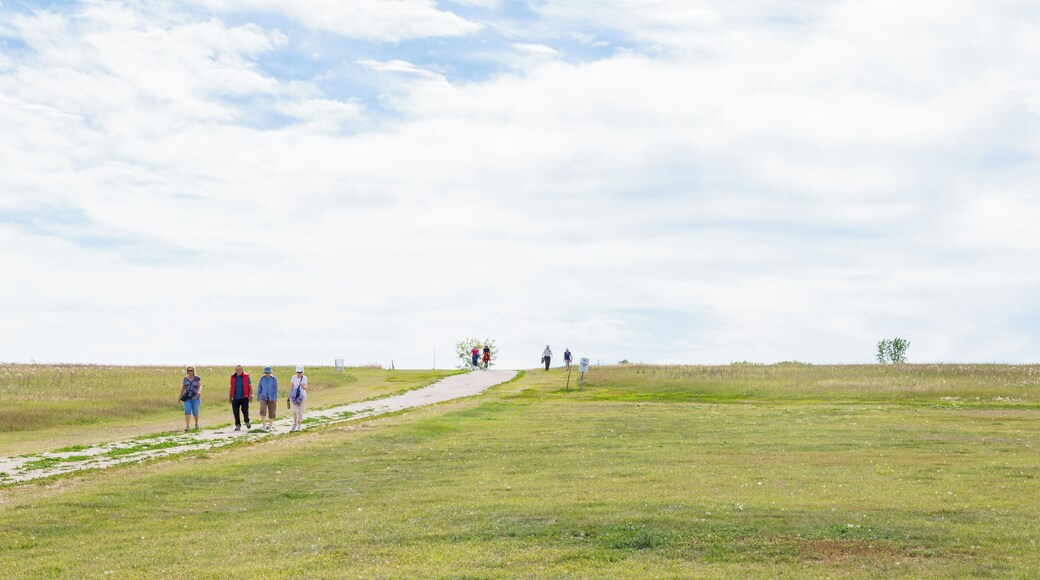 Kilcona Regional Park