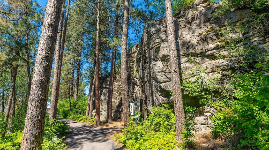 The wooded trail through the public Falls Park leading to the historic Treaty Rock a rock wall with a painted written compact between Frederick Post, a settler, and the Native American tribes in 1871.