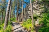 The wooded trail through the public Falls Park leading to the historic Treaty Rock a rock wall with a painted written compact between Frederick Post, a settler, and the Native American tribes in 1871.