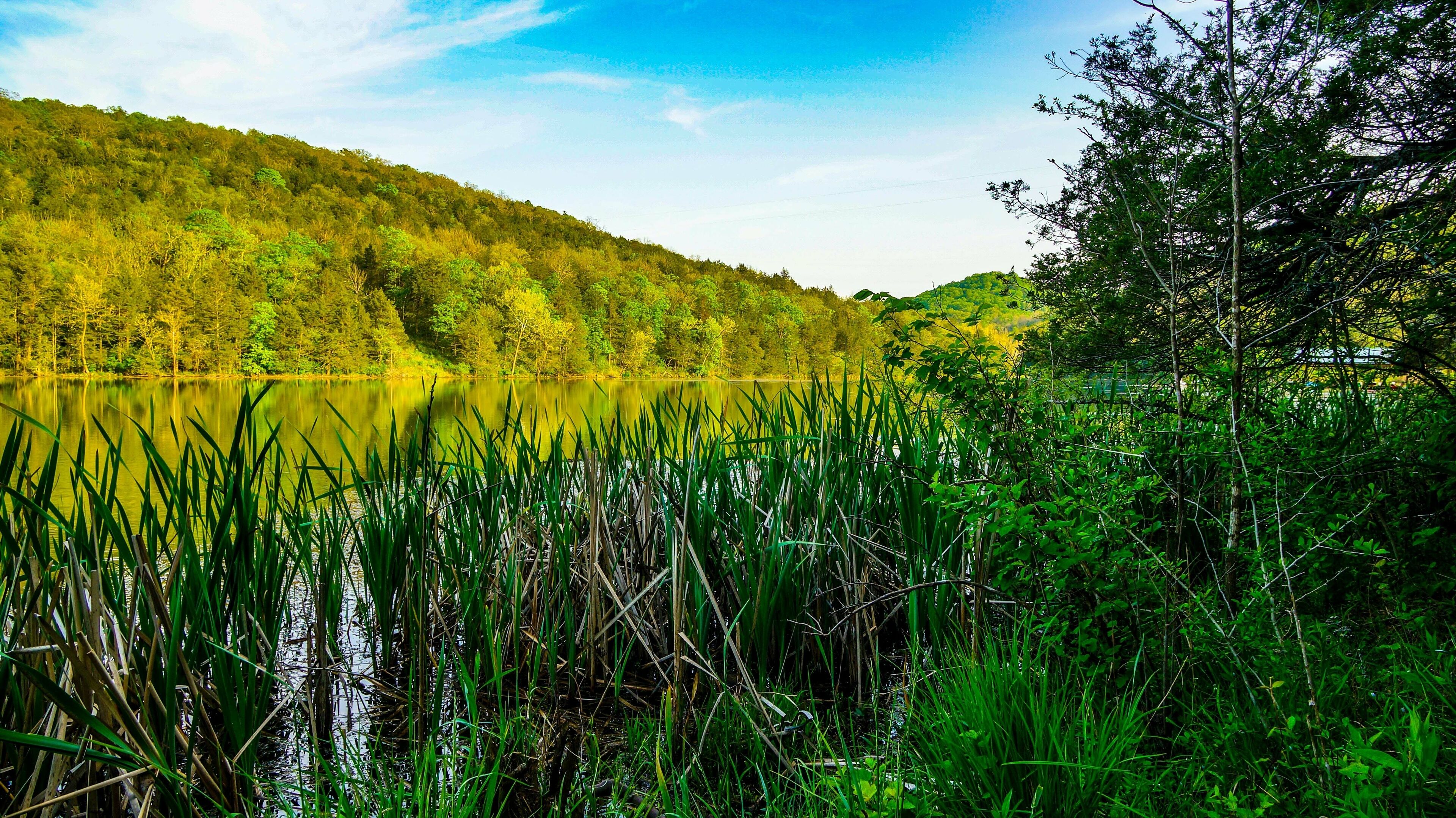 Lake Leatherwood lake in Eureka Springs Arkansas