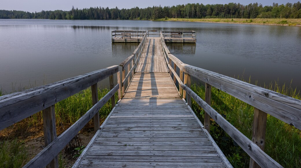 Hayes Lake delstatpark