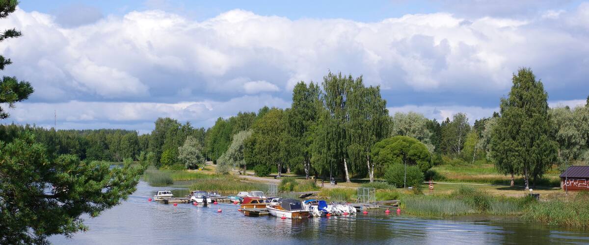 Bateaux amarés près des roseaux